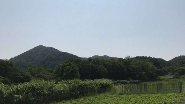 札幌の桃源郷